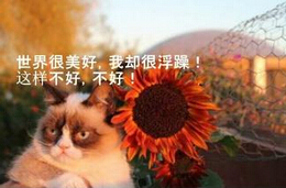 柔性线路板厂家